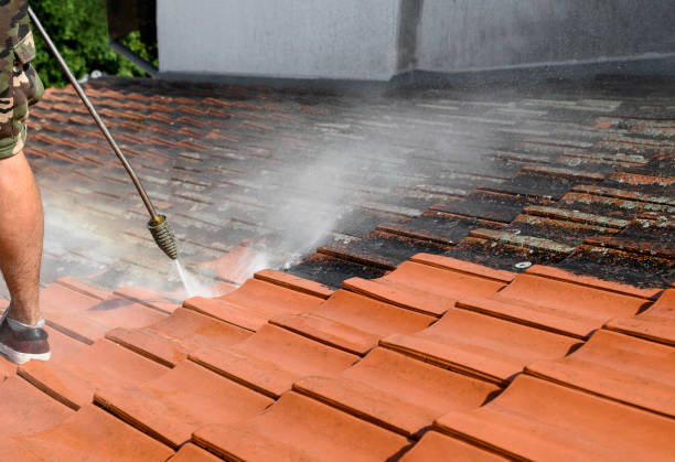 Best Fence Pressure Washing  in Duncanville, TX